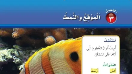 حل الفصل الثالث الموقع والنمط