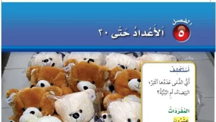 حل الفصل الخامس الأعداد حتى ٢٠