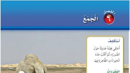 حل الفصل السادس الجمع