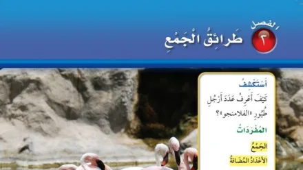 حل الفصل الثاني طرائق الجمع