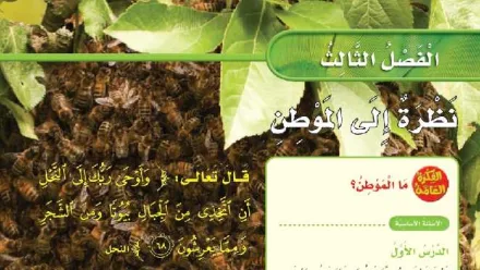 حل الفصل الثالث نظرة إلى الموطن