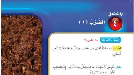 حل الفصل الرابع الضرب (١)