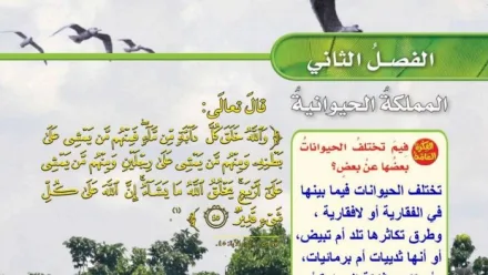 حل الفصل الثاني