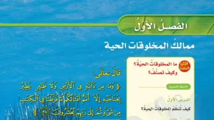 حل الفصل الاول