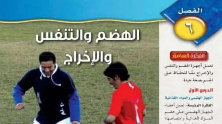 حل الفصل السادس